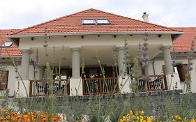 Villa Tolnay Vendeghaz