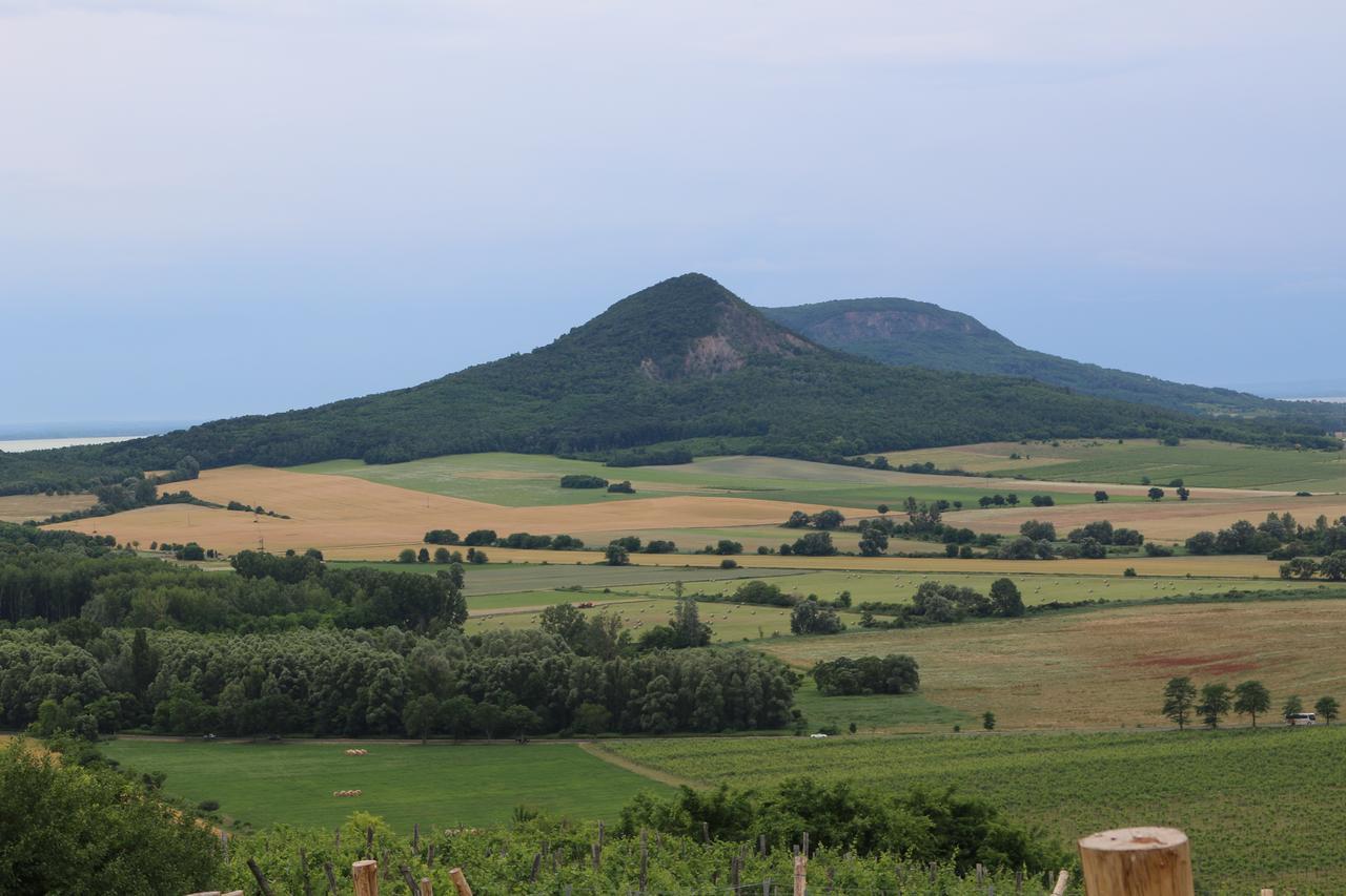 Villa Tolnay Vendeghaz Gyulakeszi Exterior foto